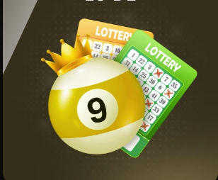 法媒：现居迪拜的纳斯里被法国税务部门要求补税551万欧