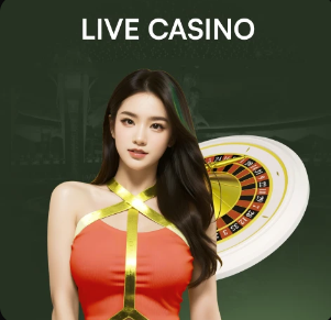 2026年4月4日韩K联全北现代vs蔚山HD直播【24直播网】